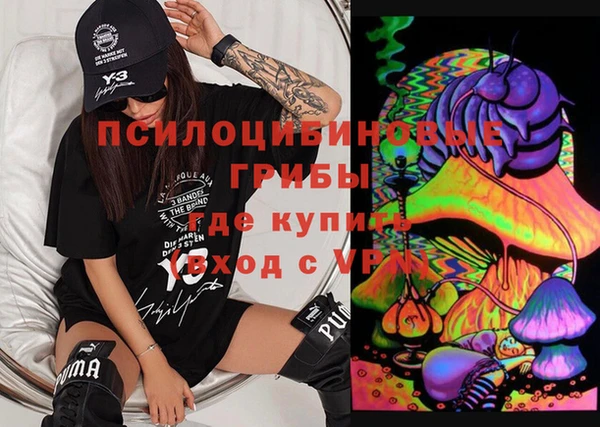 гашик Алзамай