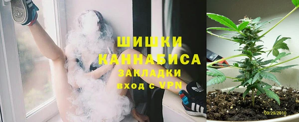 гашик Алзамай