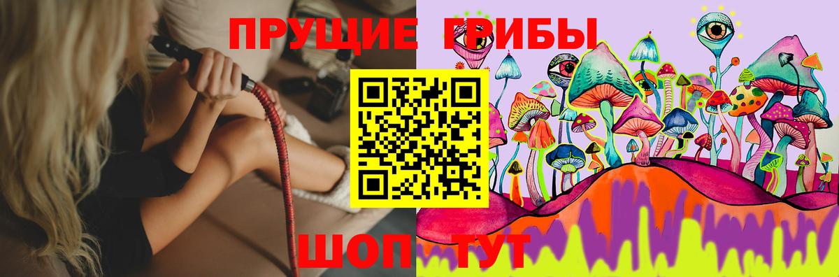 Новошахтинск  наркошоп  Вход с VPN  Галлюциногенные грибы MAGIC MUSHROOMS 